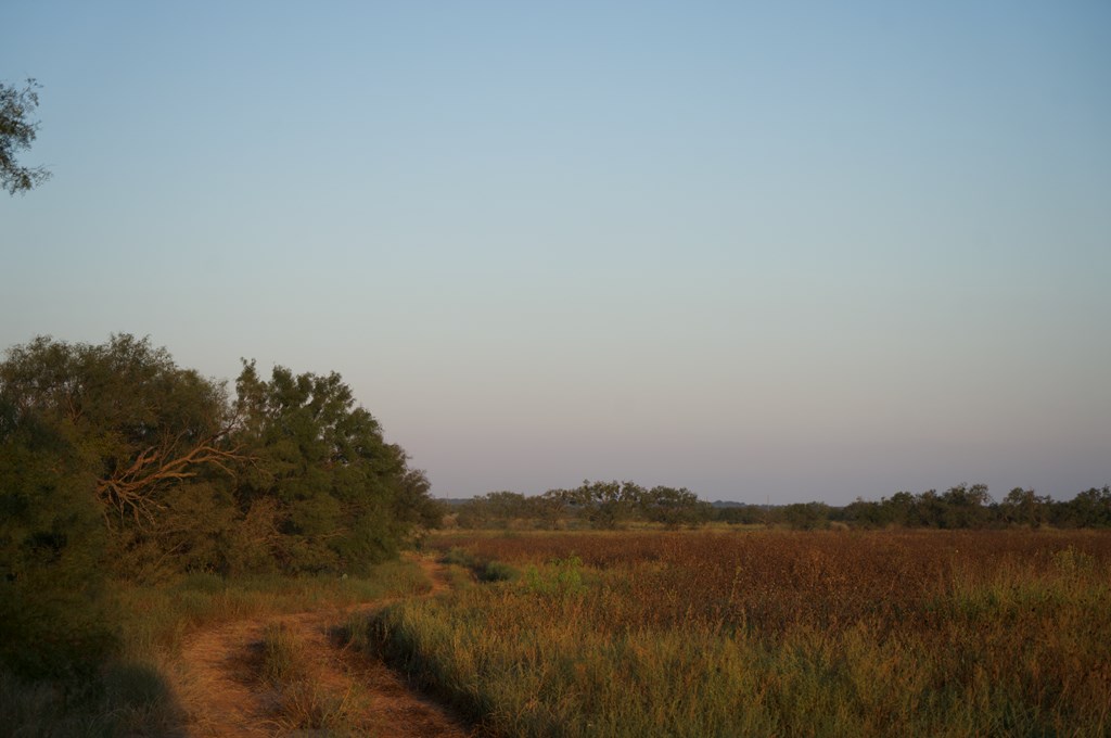 2035 County Road Rochelle, TX 76872 - Photo 9 of 68