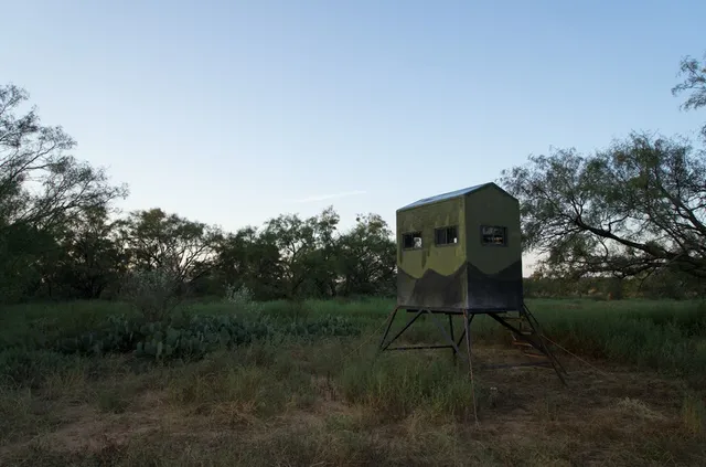 a close up of a plant in a garden