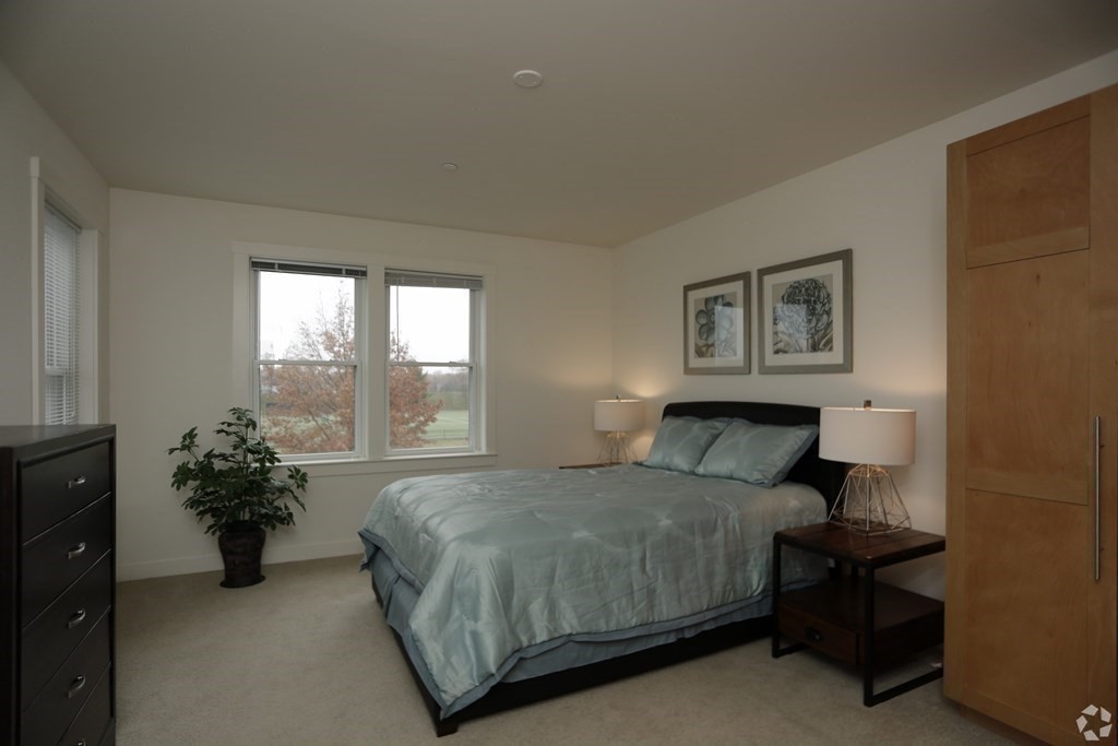 87 New Street, Unit 204 Cambridge, MA 02138 - Photo 8 of 14 a bedroom with a bed and a potted plant