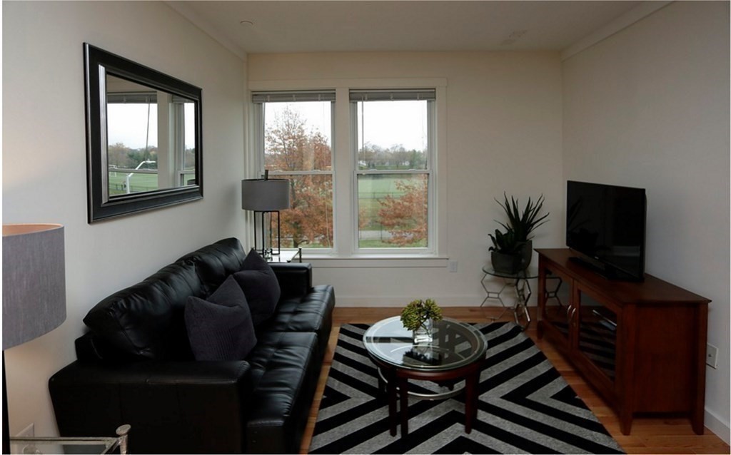 87 New Street, Unit 204 Cambridge, MA 02138 - Photo 10 of 14 a living room with furniture and a flat screen tv