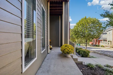 a view of a door of the house with a potted plant