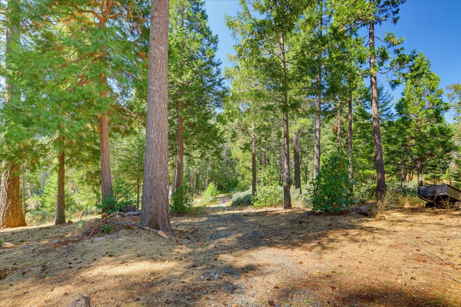 14696 Oak Ridge Road Nevada City, CA 95959 - Photo 84 of 99 Gallery Image 84