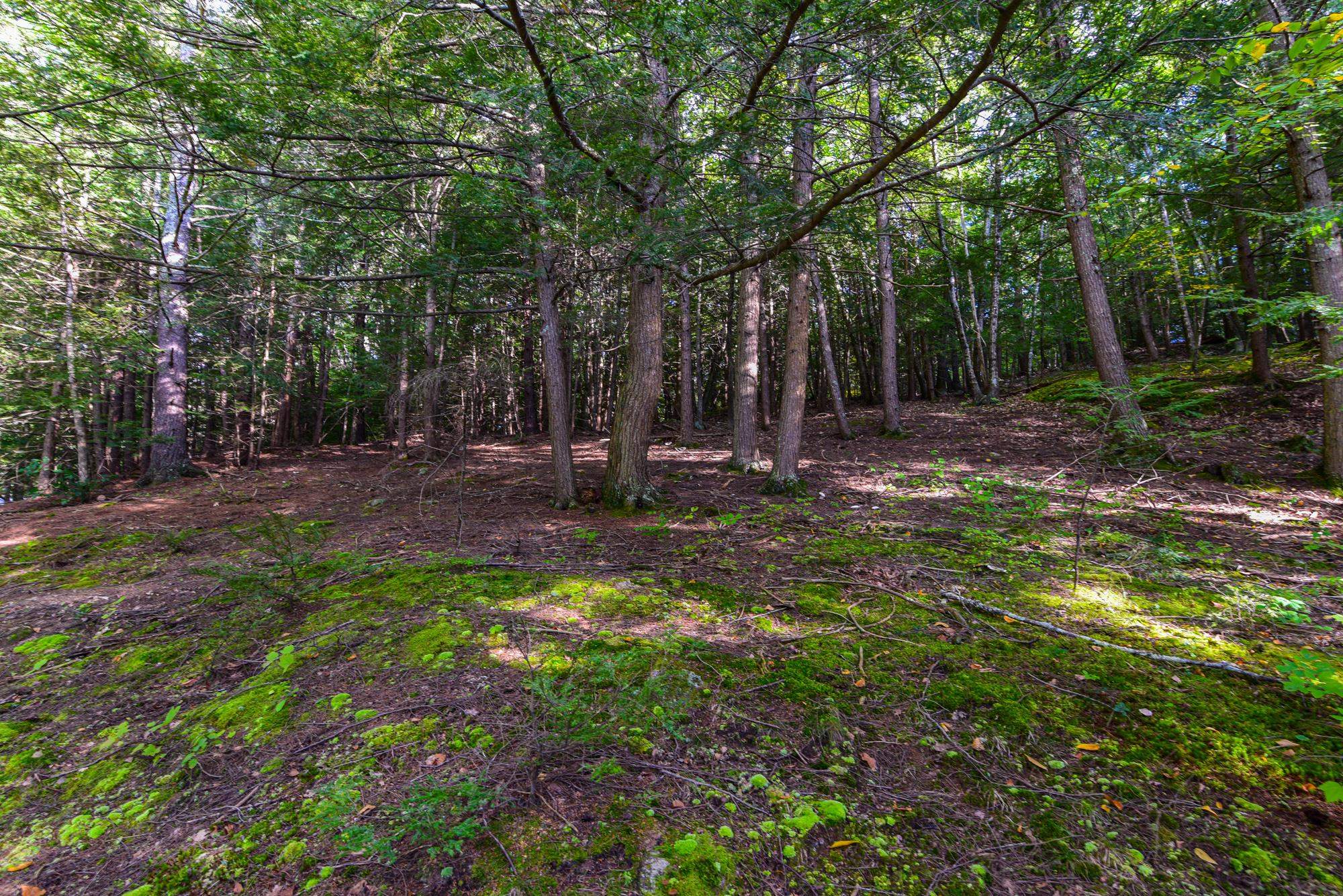 302 Newmarket Road Durham, NH 03824 - Photo 9 of 28