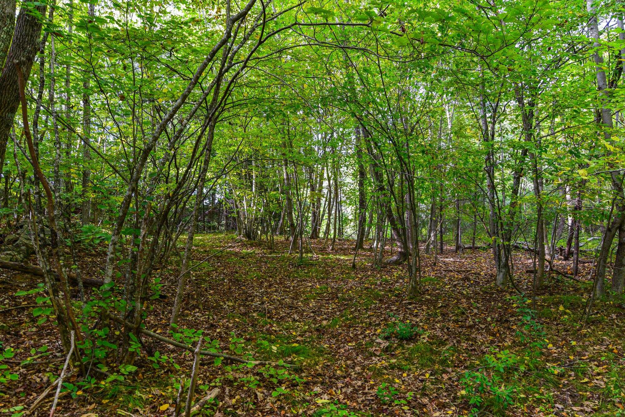 302 Newmarket Road Durham, NH 03824 - Photo 10 of 28