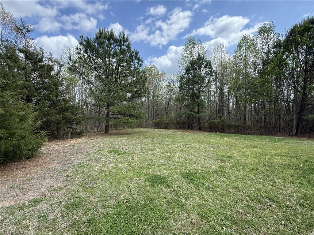 4053 Rice Drive Asheboro, NC 27205 - Photo 38 of 39