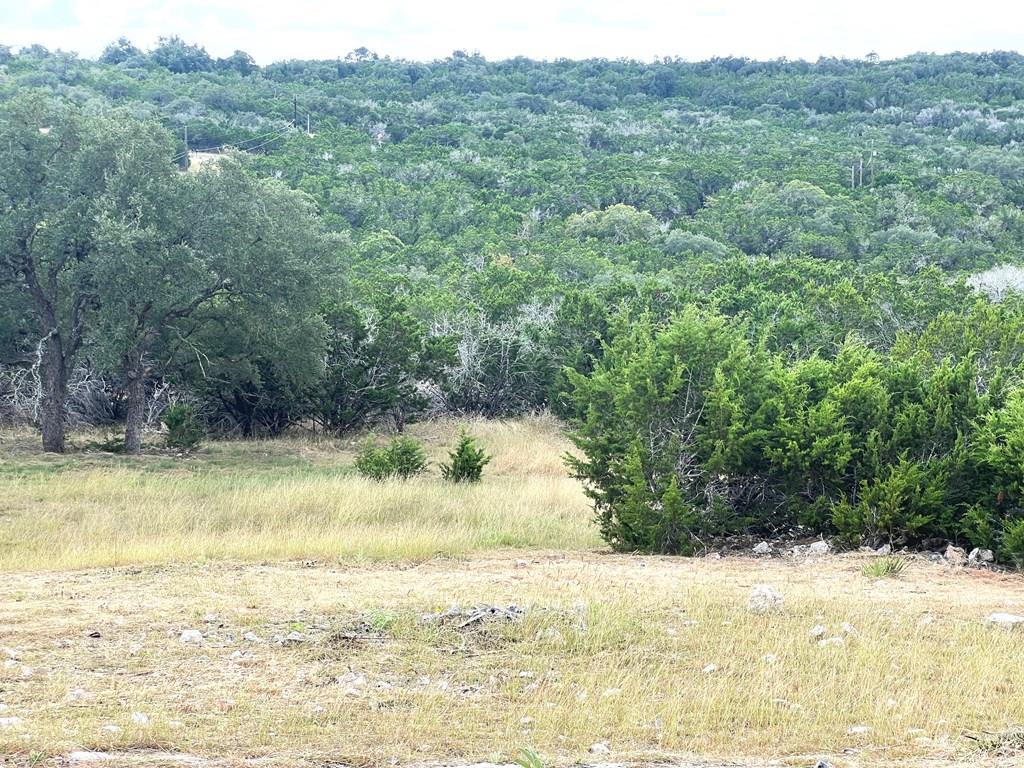 140 Teague Road Kerrville, TX 78028 - Photo 36 of 44
