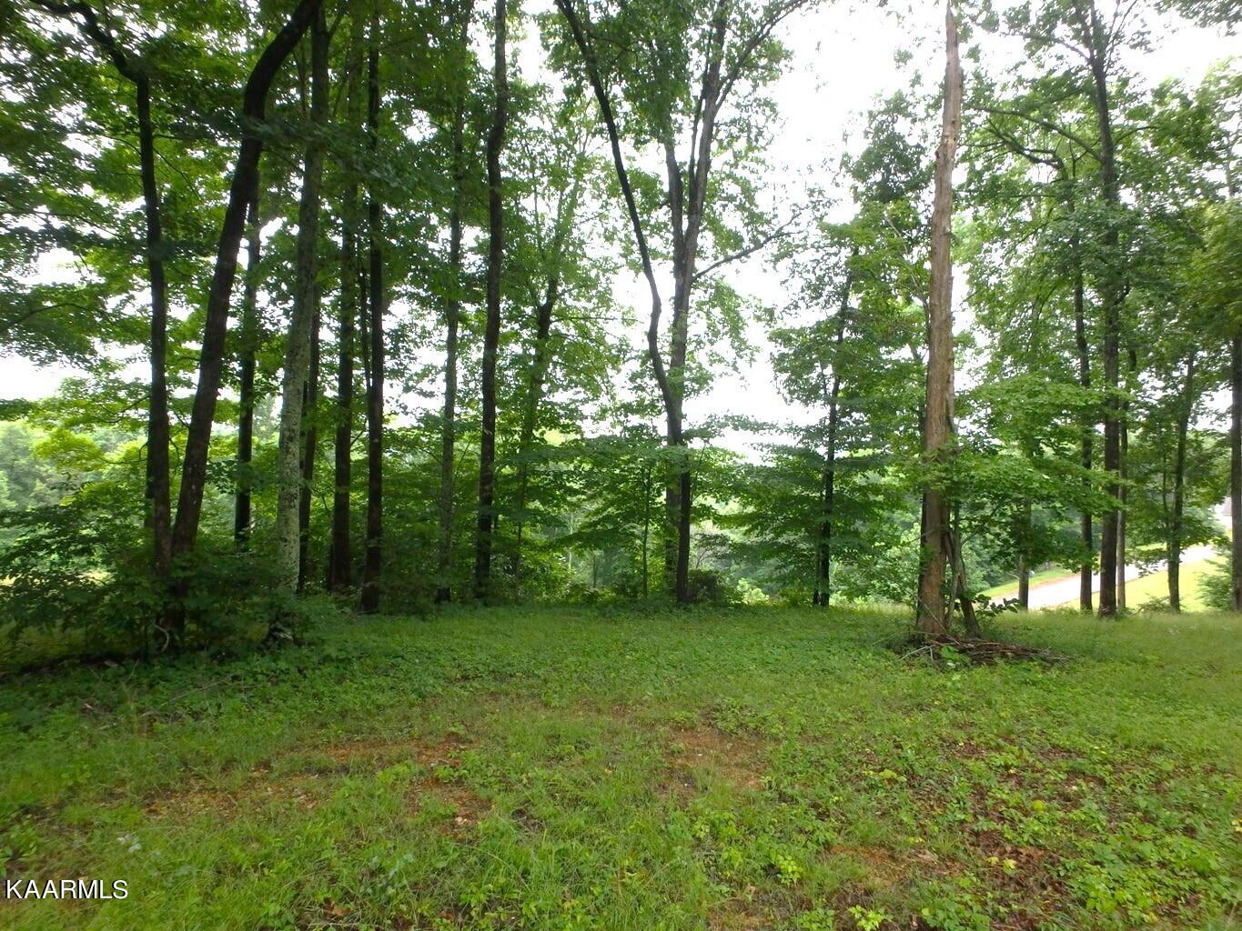 Lot 616 Prestige Ridge La Follette, TN 37766 - Photo 1 of 8 616 3 prestige ridge