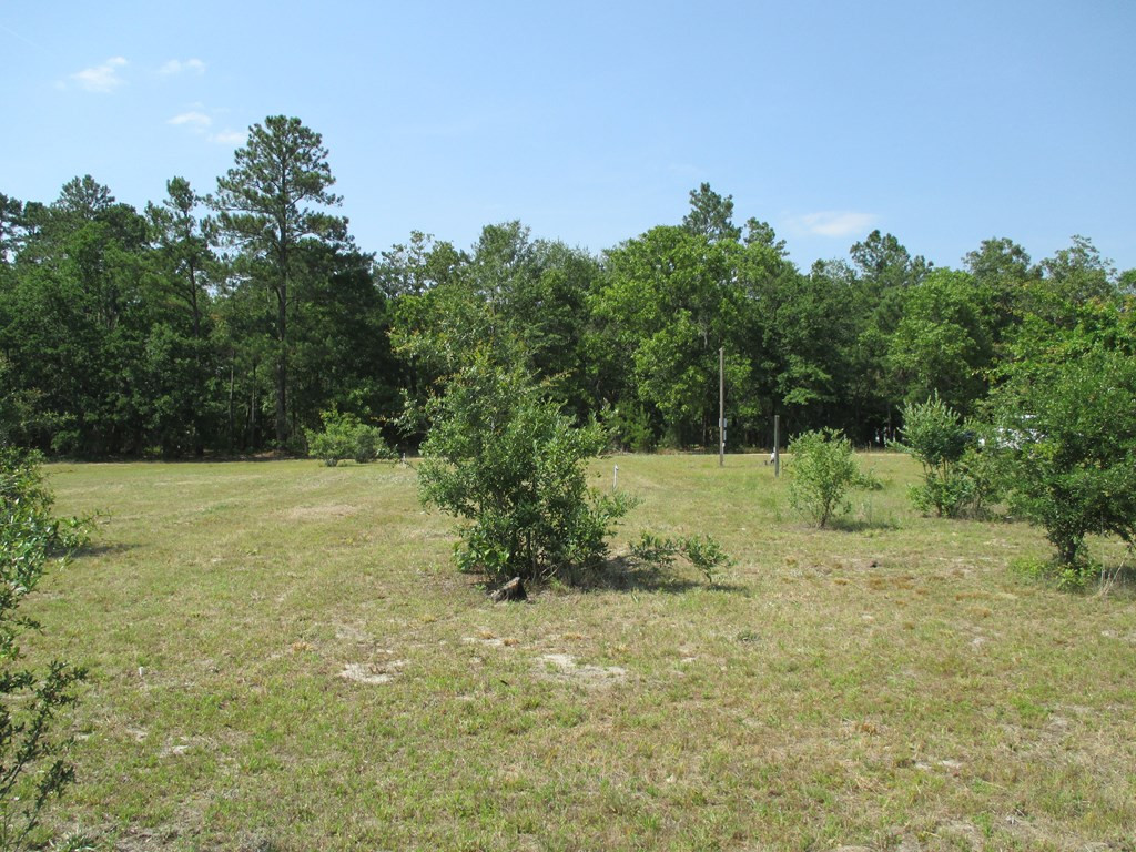 4520 Pinewood Road Sumter, SC 29154 - Photo 16 of 18 Gallery Image 16
