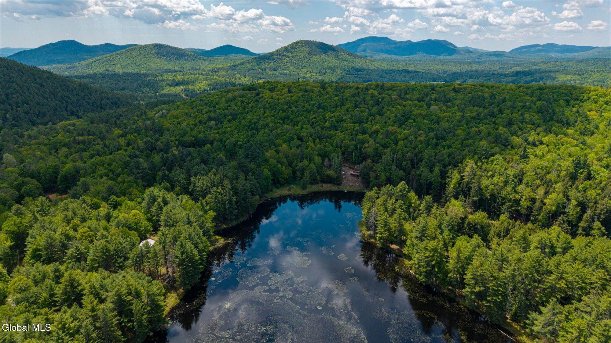 175 Antler Lake Road Johnsburg, NY 12886 - Photo 17 of 54 03-ADK-3