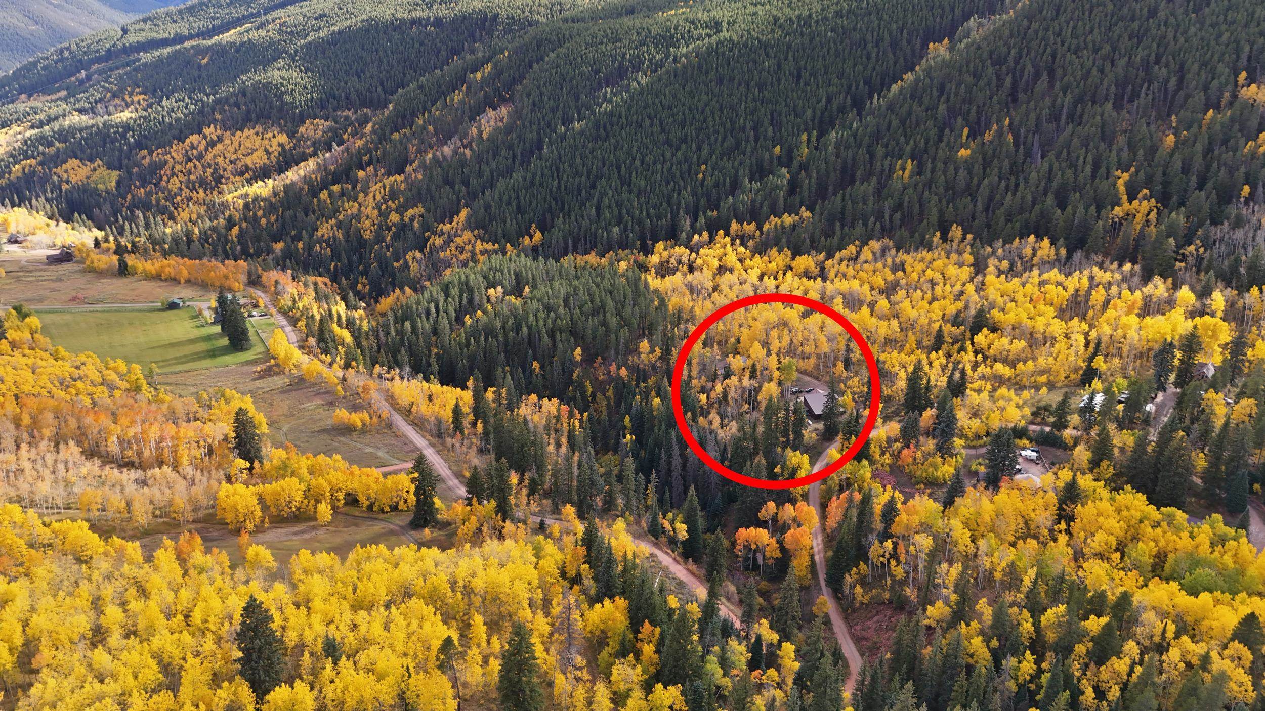 1315 Ruedi Creek Road Basalt, CO 81621 - Photo 37 of 42