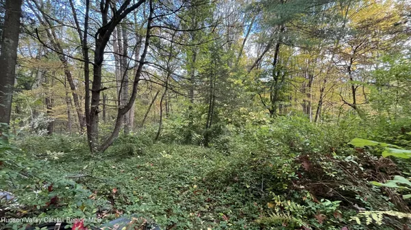 a view of forest