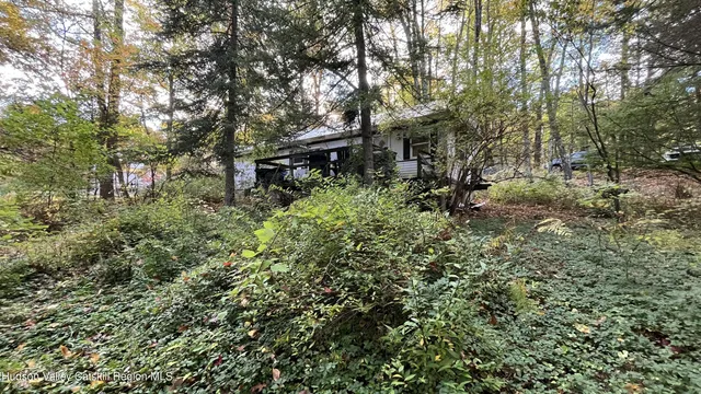 a backyard of a house with lots of green space