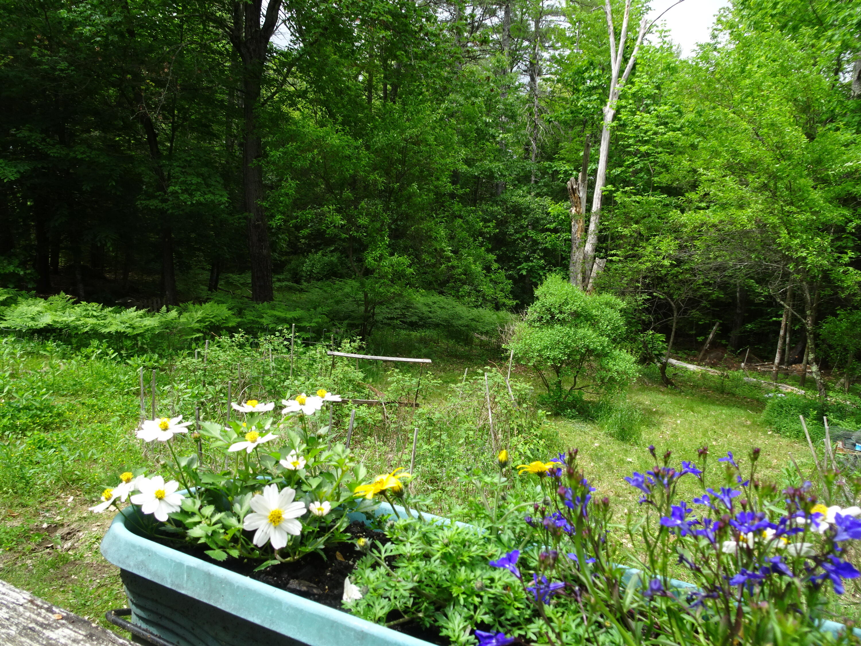 284 Webbs Mills Road Raymond, ME 04071 - Photo 24 of 33 DSC06219