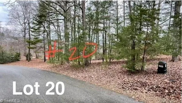 $29,999 | Lot 20 Woods Haven Lane, Stuart, VA 24171