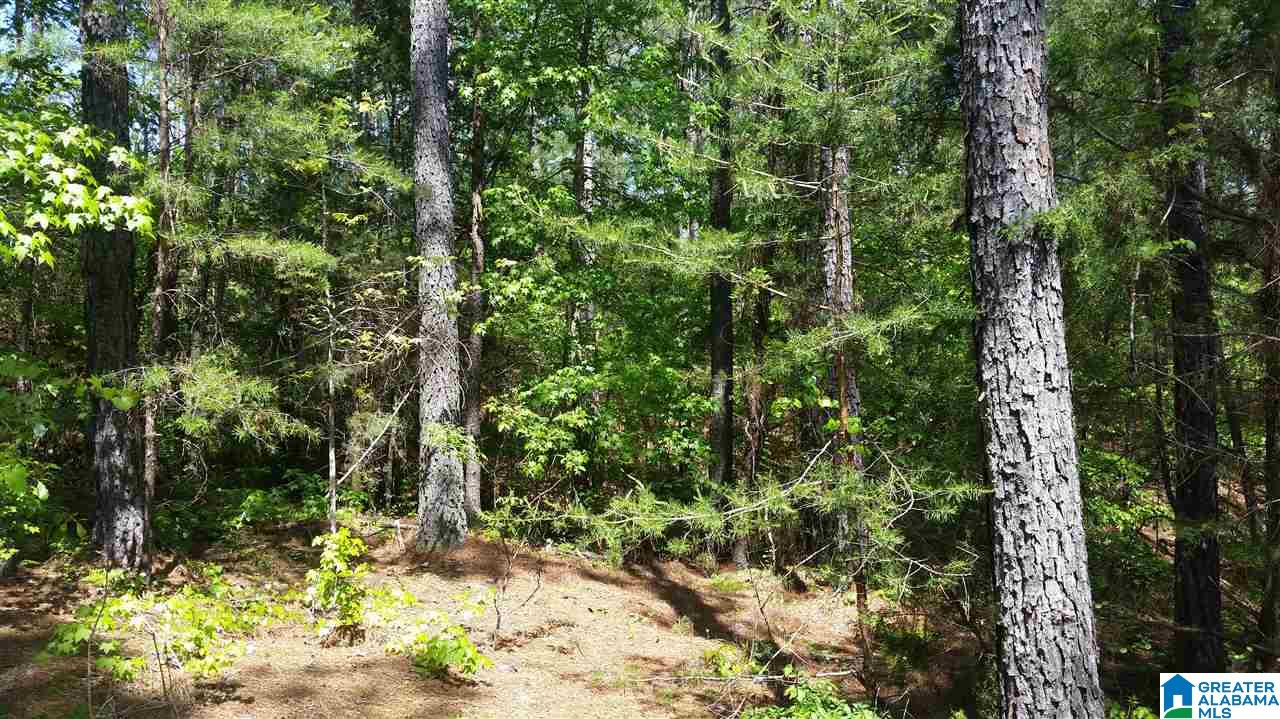 3582 County Road 8, Unit 1 Clanton, AL 35046 - Photo 12 of 13