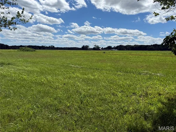 $9,999 | Tbd West Fellin Drive, Mount Olive, IL 62069