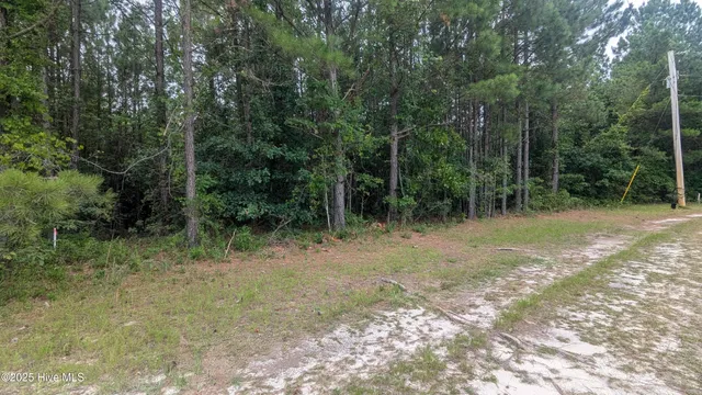 $200,000 | Tbd Line Road, Cameron, NC 28326