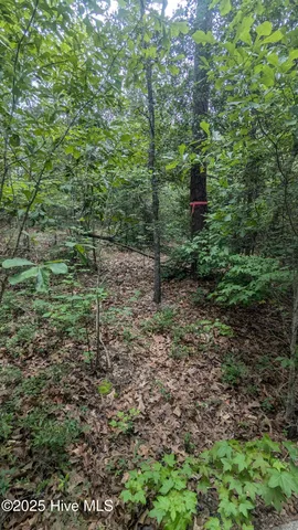 $200,000 | Tbd Line Road, Cameron, NC 28326