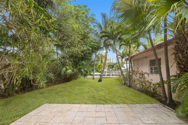 a park with palm trees