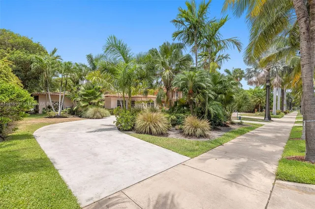 a view of a yard with plants and trees