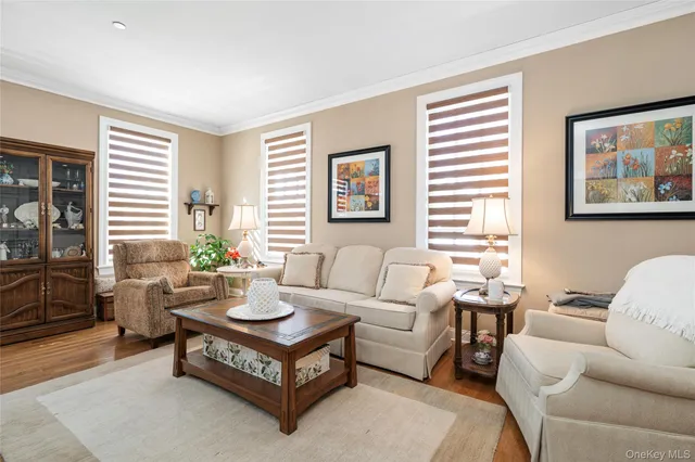 a living room with furniture a rug and a window
