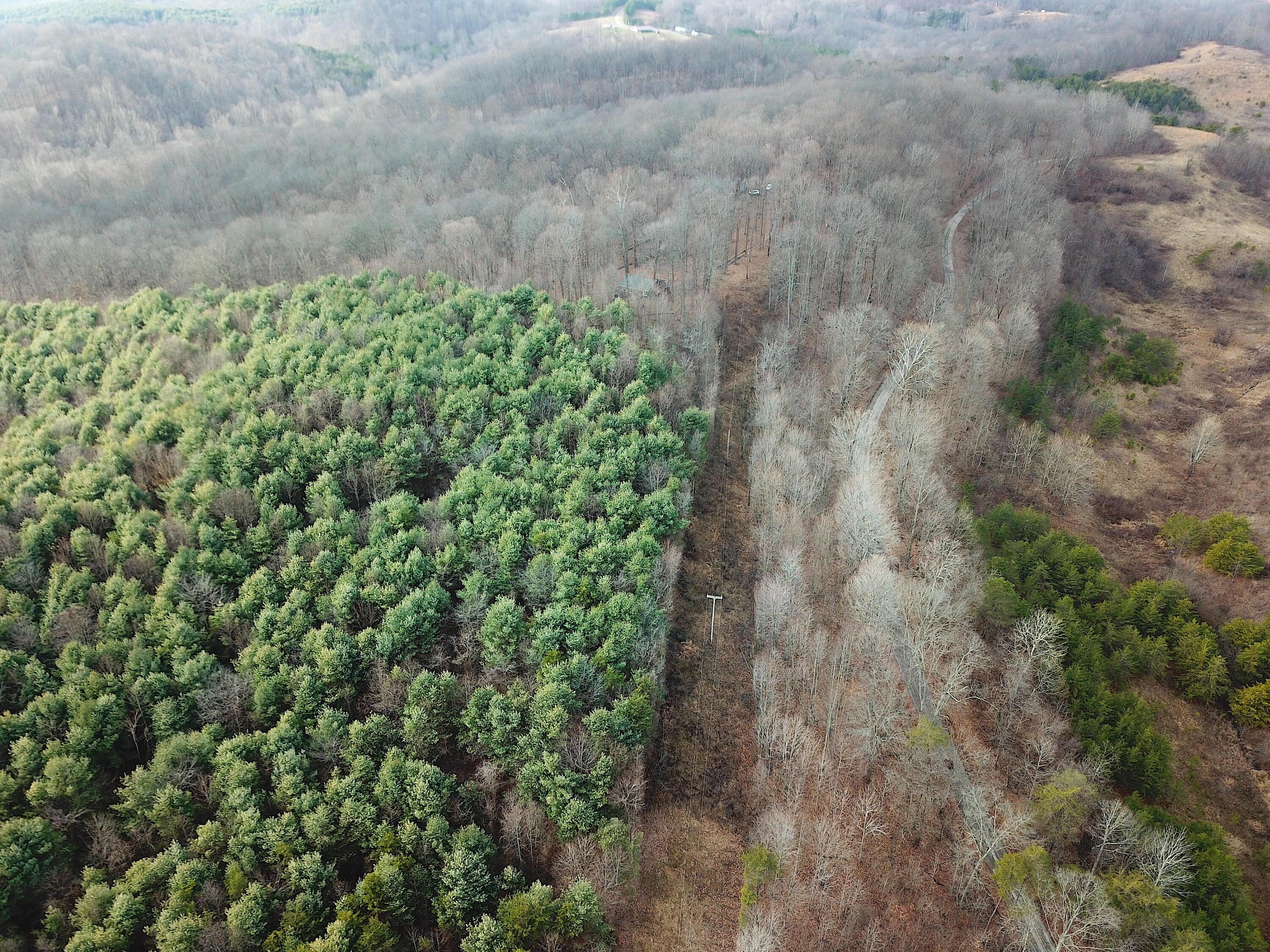 0 Minerton Chapel Road Vinton, OH 45686 - Photo 20 of 25 DJI_0231
