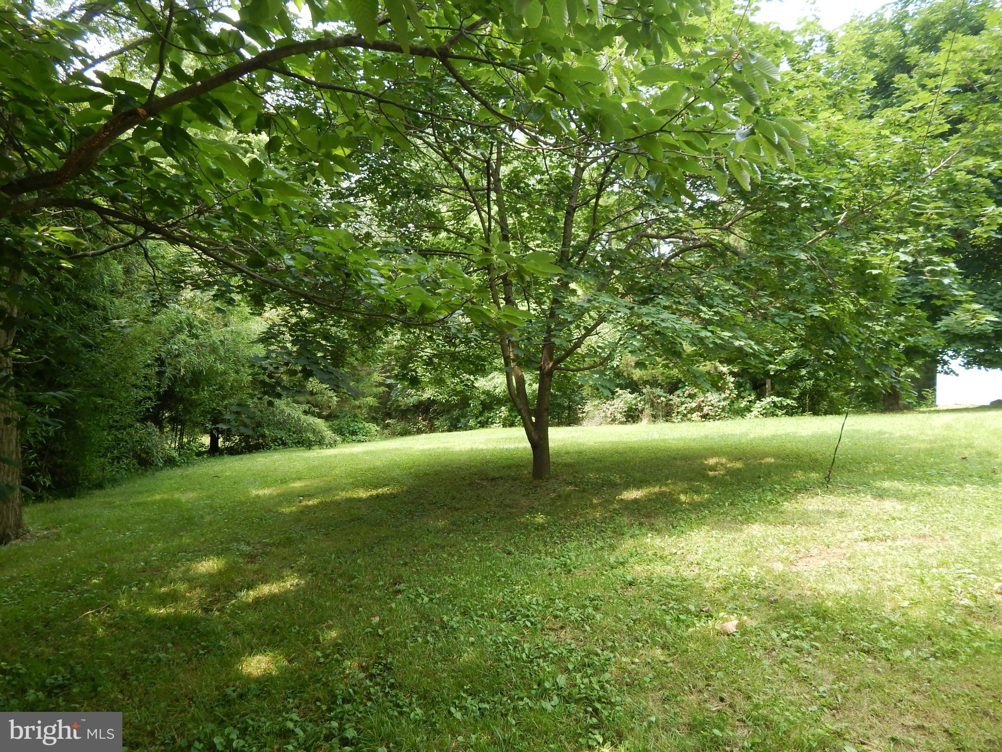 189 Washington Street Inwood, WV 25428 - Photo 21 of 30 a view of back yard