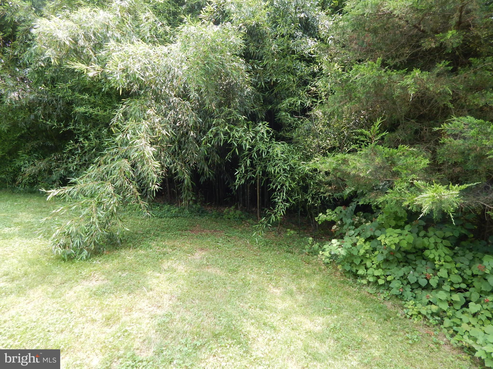 189 Washington Street Inwood, WV 25428 - Photo 23 of 30 a view of a garden