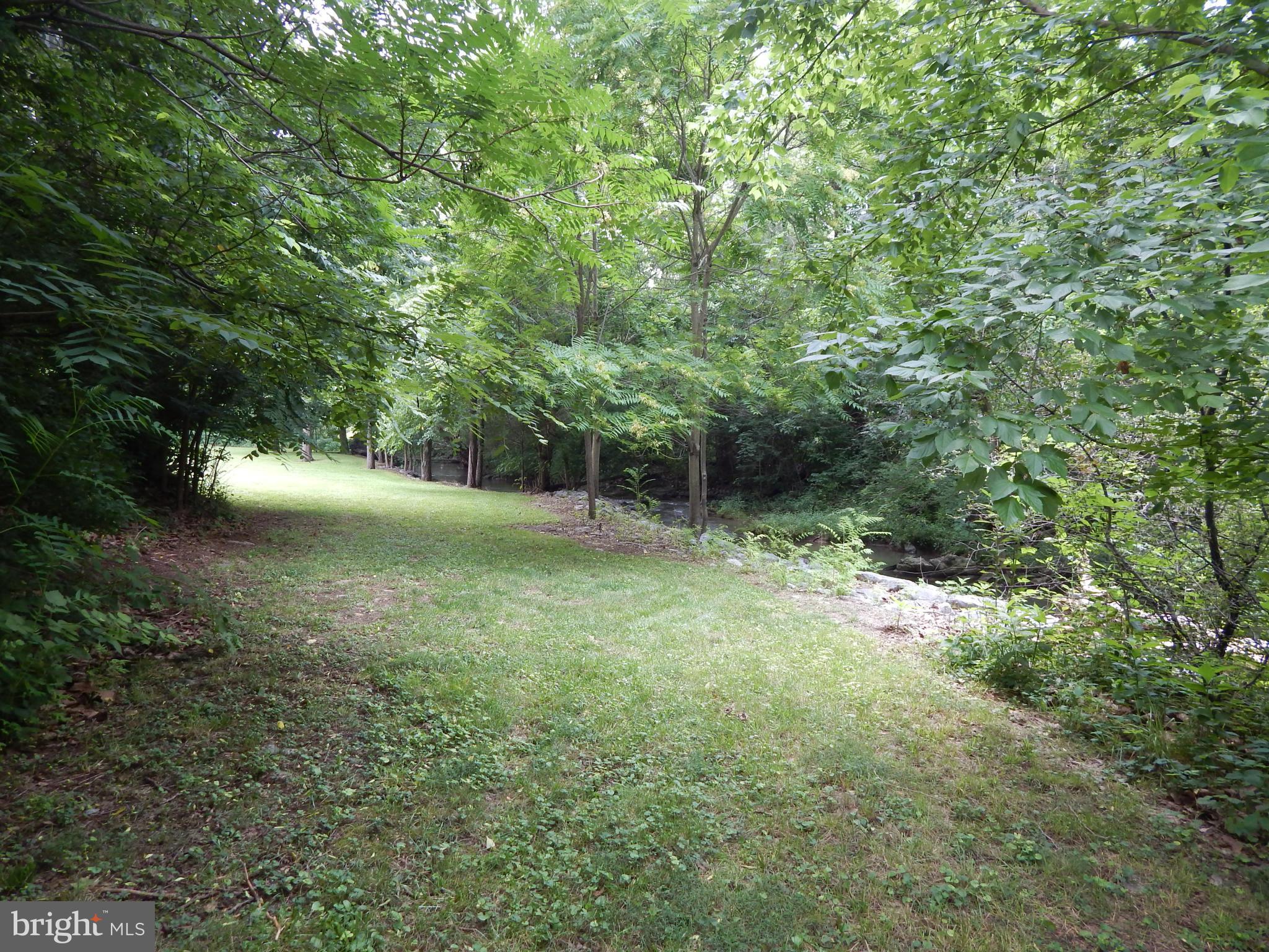 189 Washington Street Inwood, WV 25428 - Photo 25 of 30 a view of a forest with a tree