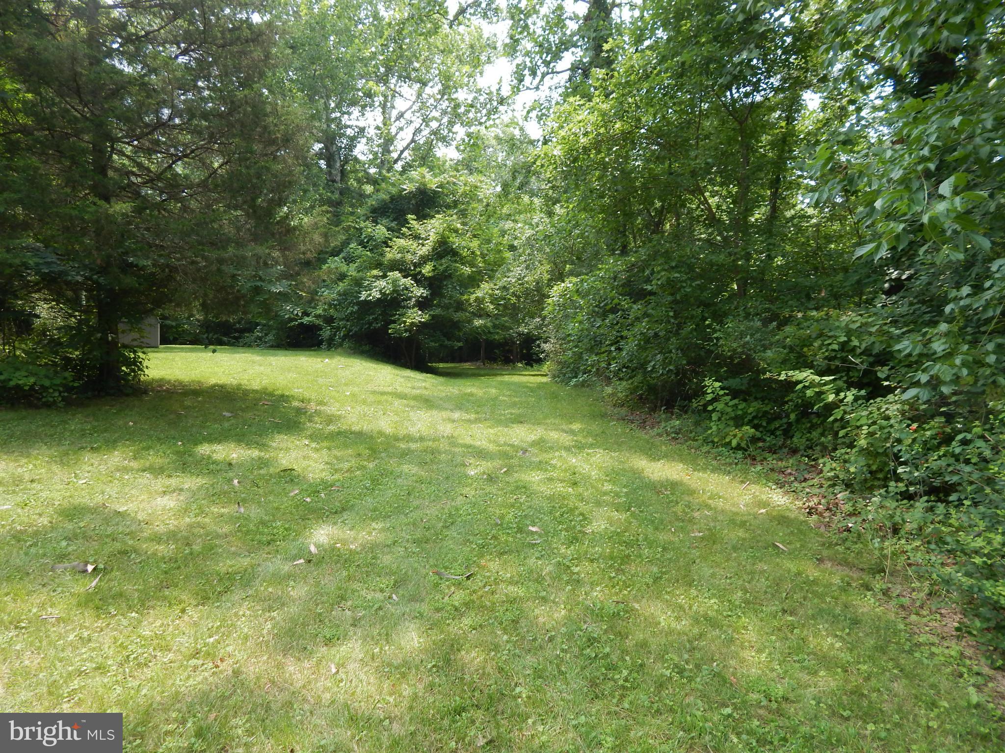 189 Washington Street Inwood, WV 25428 - Photo 28 of 30 a view of a big yard with a plants and trees