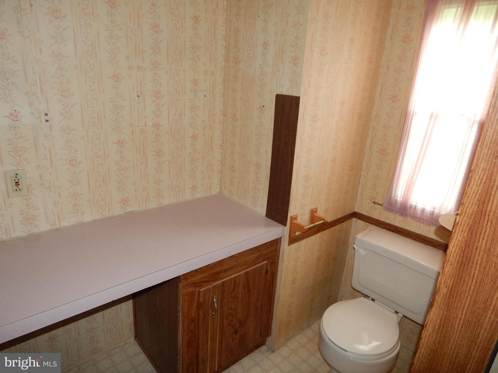 189 Washington Street Inwood, WV 25428 - Photo 10 of 30 a bathroom with a sink a toilet and a window