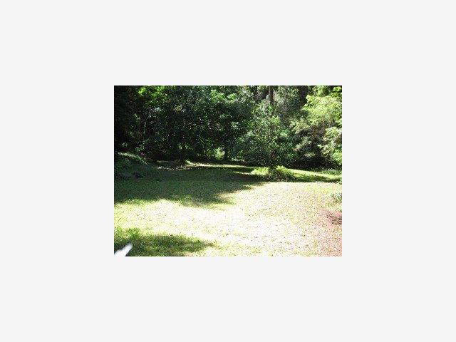 1396 Olive Springs Road Soquel, CA 95073 - Photo 5 of 9 Gallery Image 5