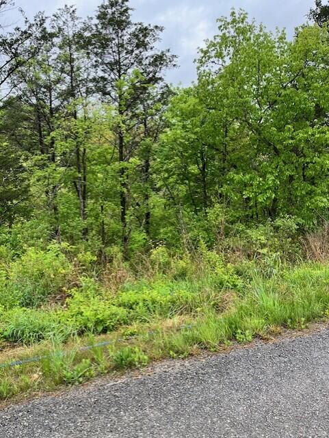0 Amherst Road Branson, MO 65616 - Photo 1 of 1 Lot Photo 2