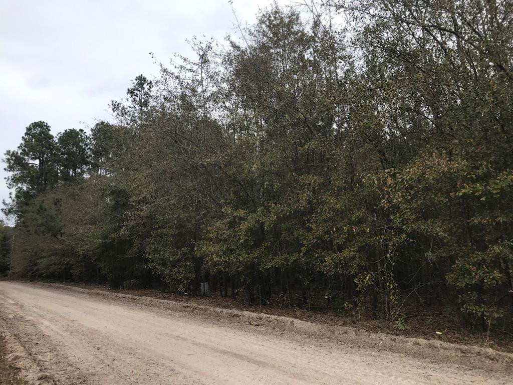 1918 Janelle Road Augusta, GA 30909 - Photo 1 of 1 Main View