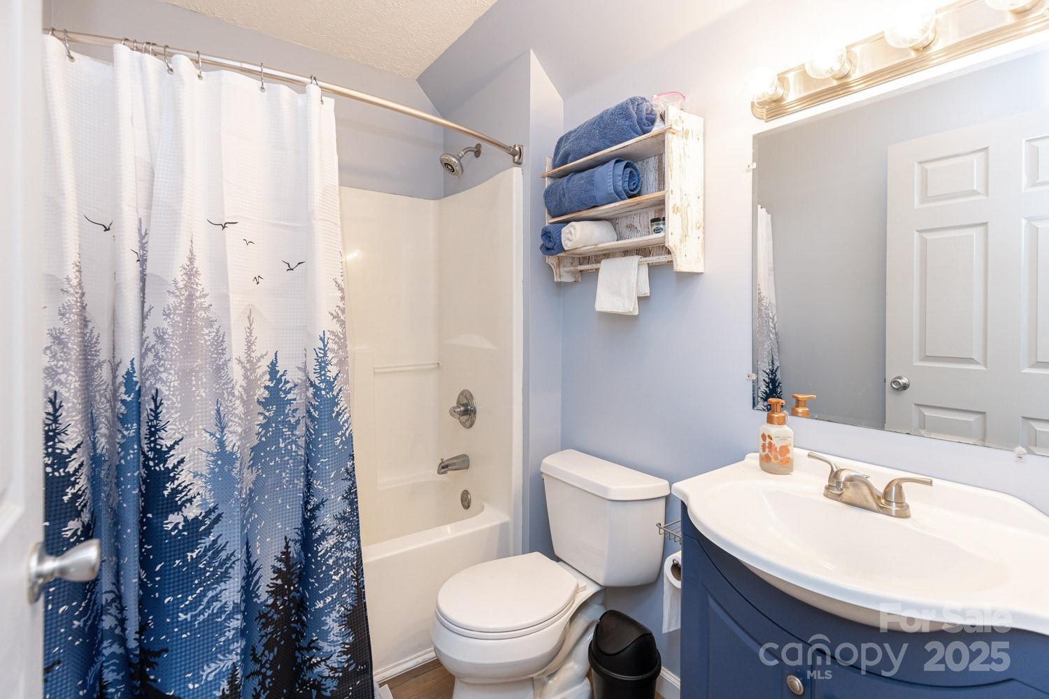 122 Ramsey Road Asheville, NC 28806 - Photo 16 of 19 a bathroom with a sink toilet and shower