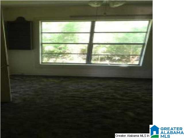 15764 Hamlet Mill Road Daviston, AL 36256 - Photo 9 of 15 Gallery Image 9
