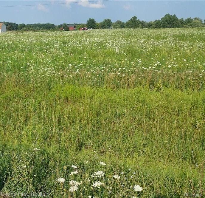 0 Capac Road Capac, MI 48014 - Photo 1 of 4