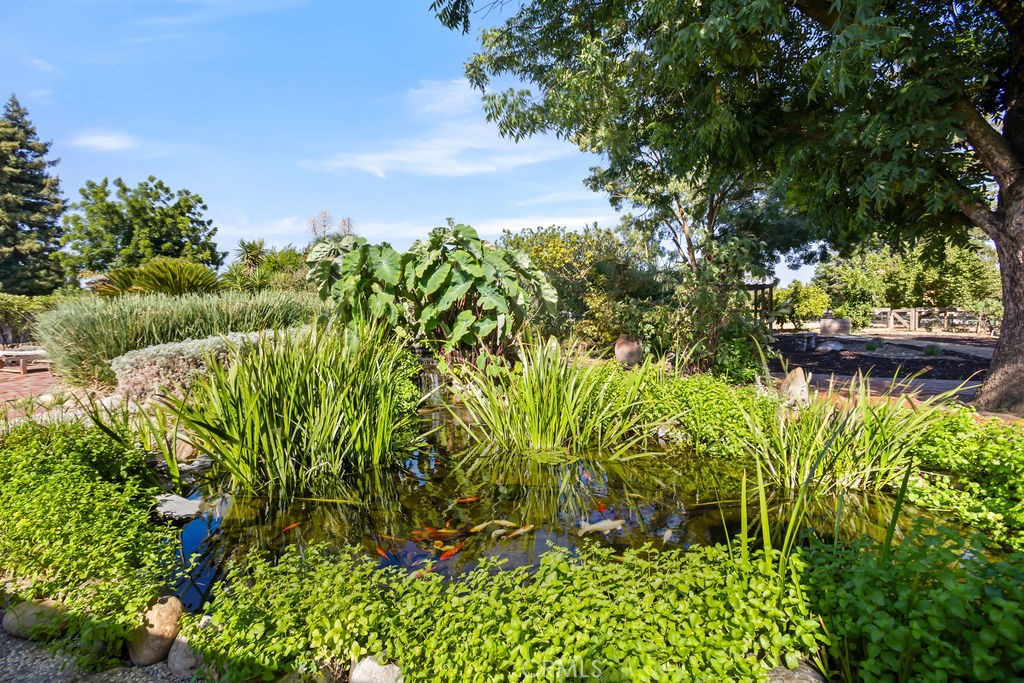 2960 Whitegate Drive Merced, CA 95340 - Photo 44 of 48 a view of a garden with plants