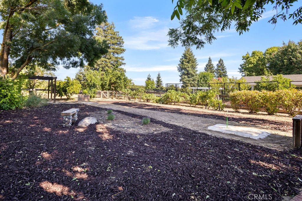 2960 Whitegate Drive Merced, CA 95340 - Photo 46 of 48 a view of a yard with plants and trees