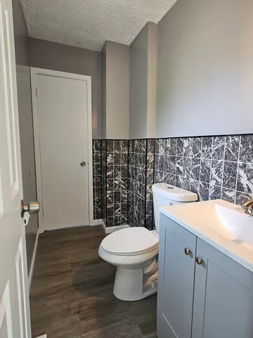 a bathroom with a sink and a toilet