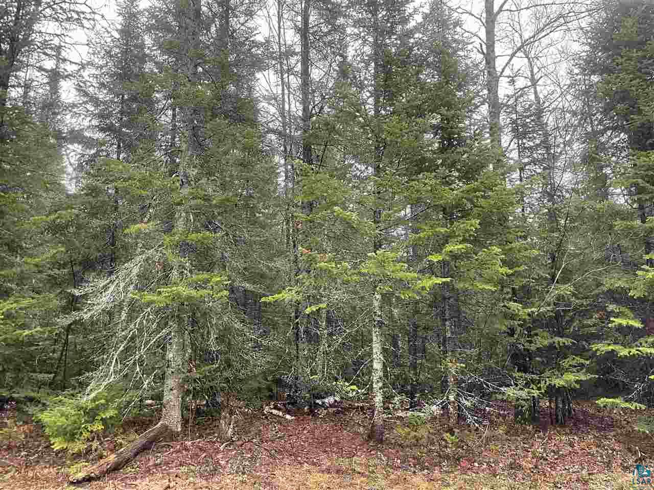 8075 East Town Line Road South Range, WI 54874 - Photo 3 of 8