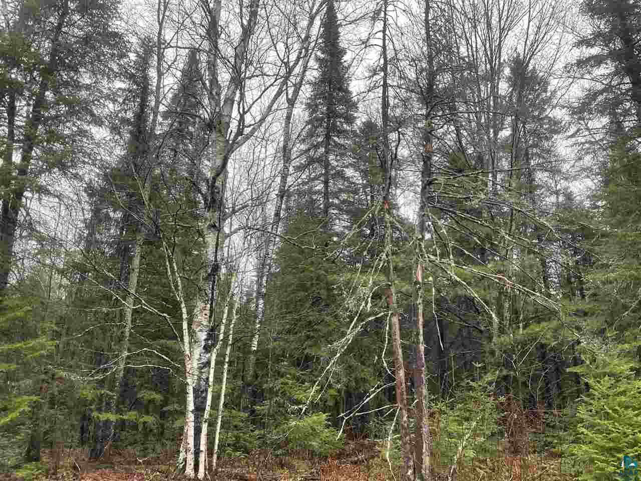 8075 East Town Line Road South Range, WI 54874 - Photo 5 of 8