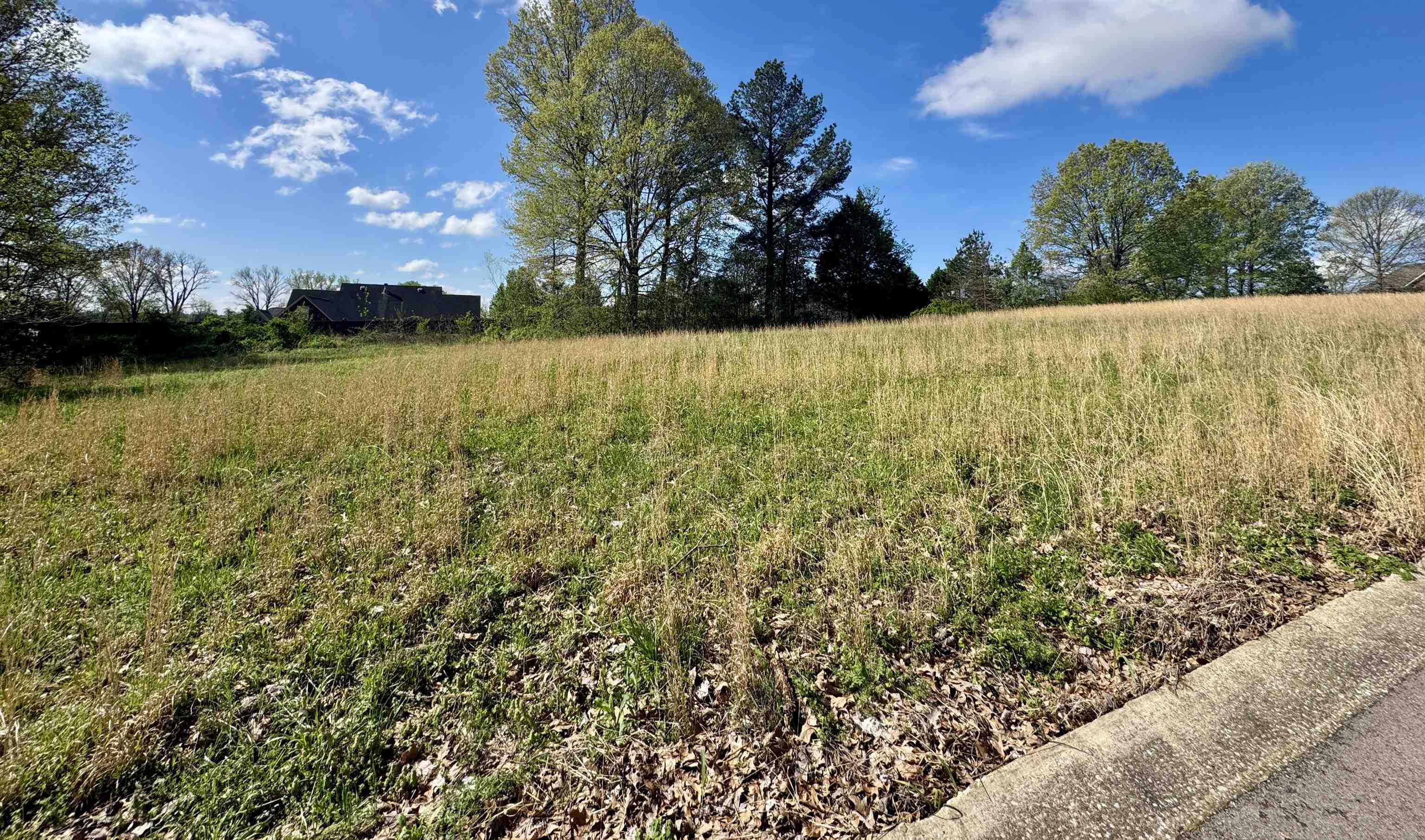 60 York Cmns Ripley, TN 38063 - Photo 2 of 2 a view of outdoor space and yard