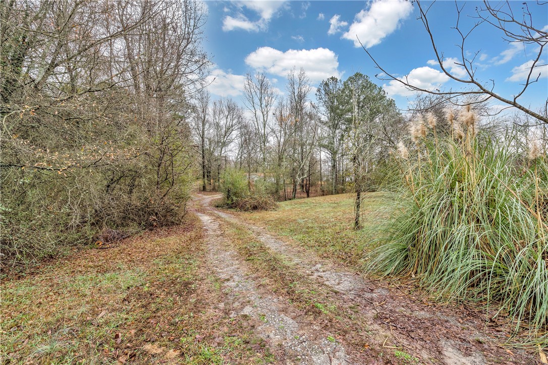 712 Hayes Road Starr, SC 29684 - Photo 21 of 31