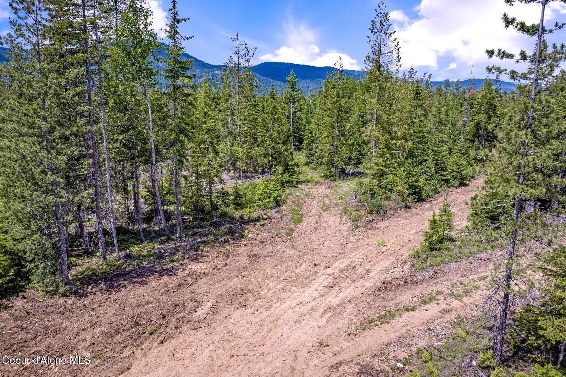 Lot 1 Noble Lane Sandpoint, ID 83864 - Photo 5 of 9 Nice mix of trees