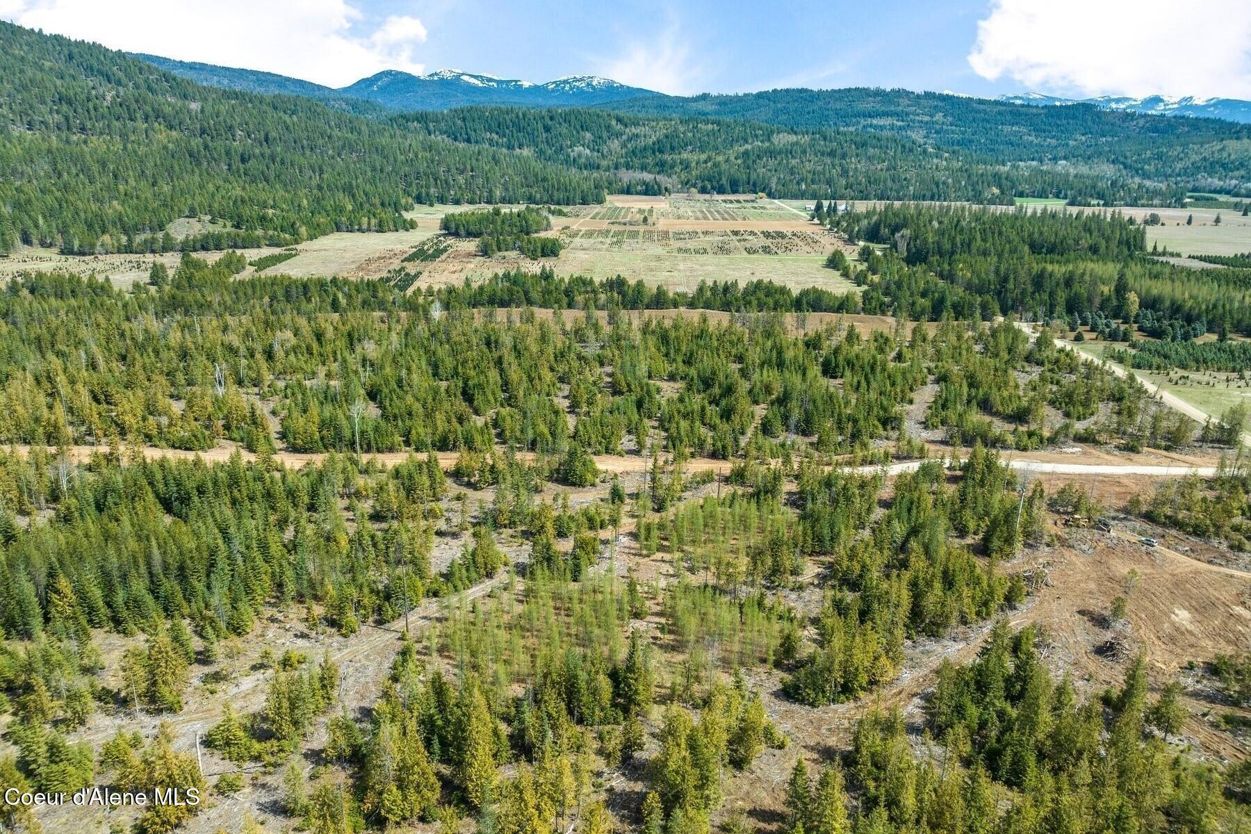 Lot 1 Noble Lane Sandpoint, ID 83864 - Photo 6 of 9 Looking North to the Tree Farm
