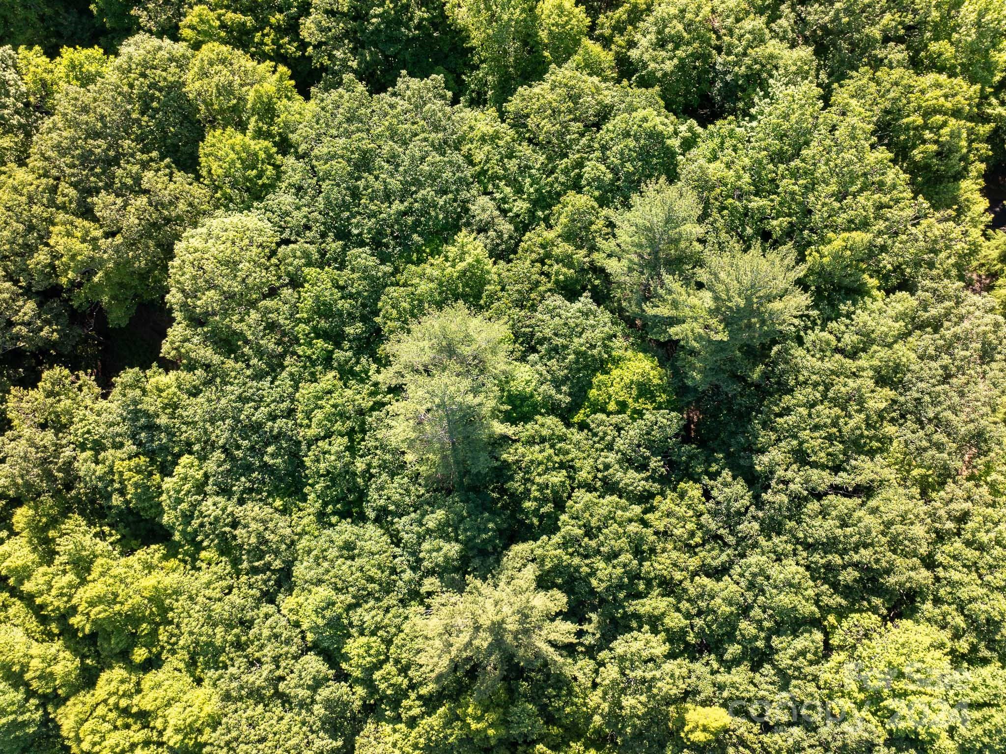 Tbd Continental Divide Road, Unit C3 Spruce Pine, NC 28777 - Photo 11 of 31