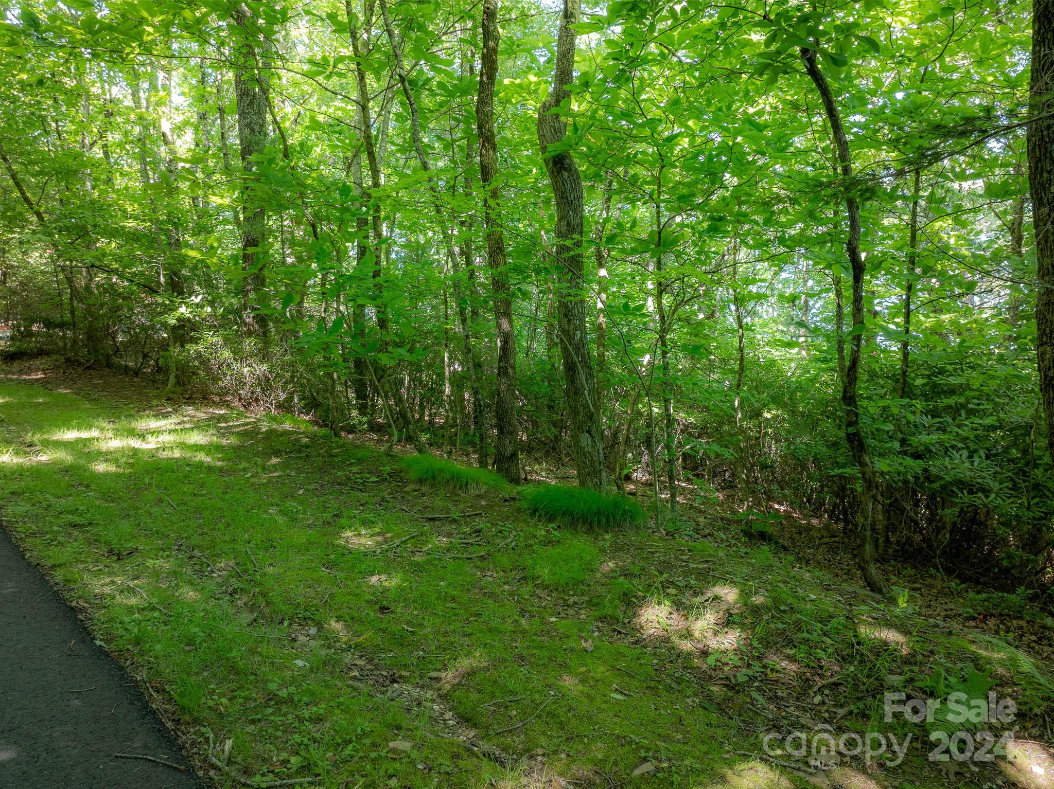 Tbd Continental Divide Road, Unit C3 Spruce Pine, NC 28777 - Photo 13 of 31