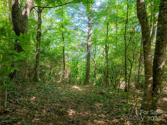 $34,000 | Tbd Continental Divide Road, Unit C3, Spruce Pine, NC 28777