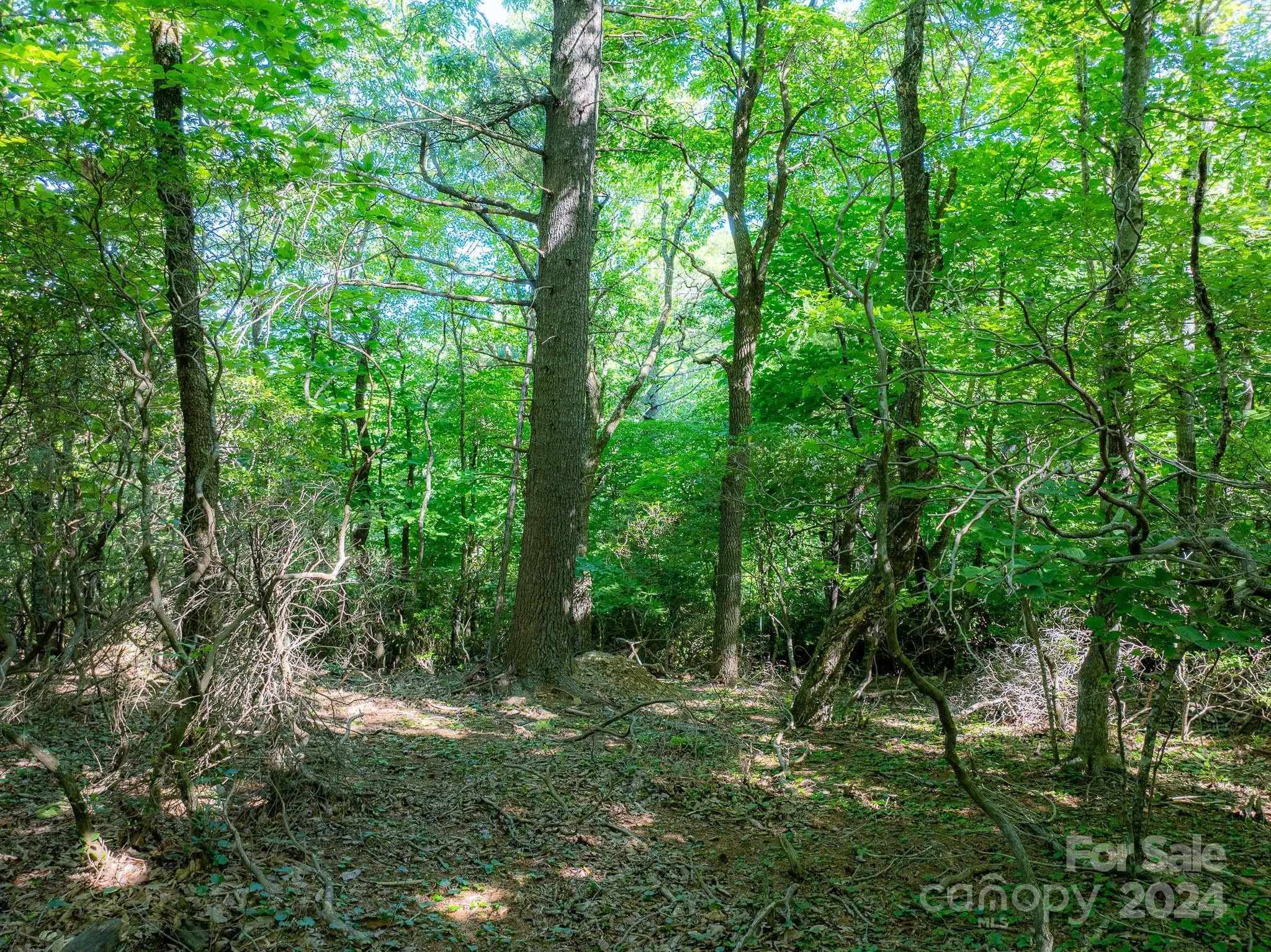 Tbd Continental Divide Road, Unit C3 Spruce Pine, NC 28777 - Photo 15 of 31